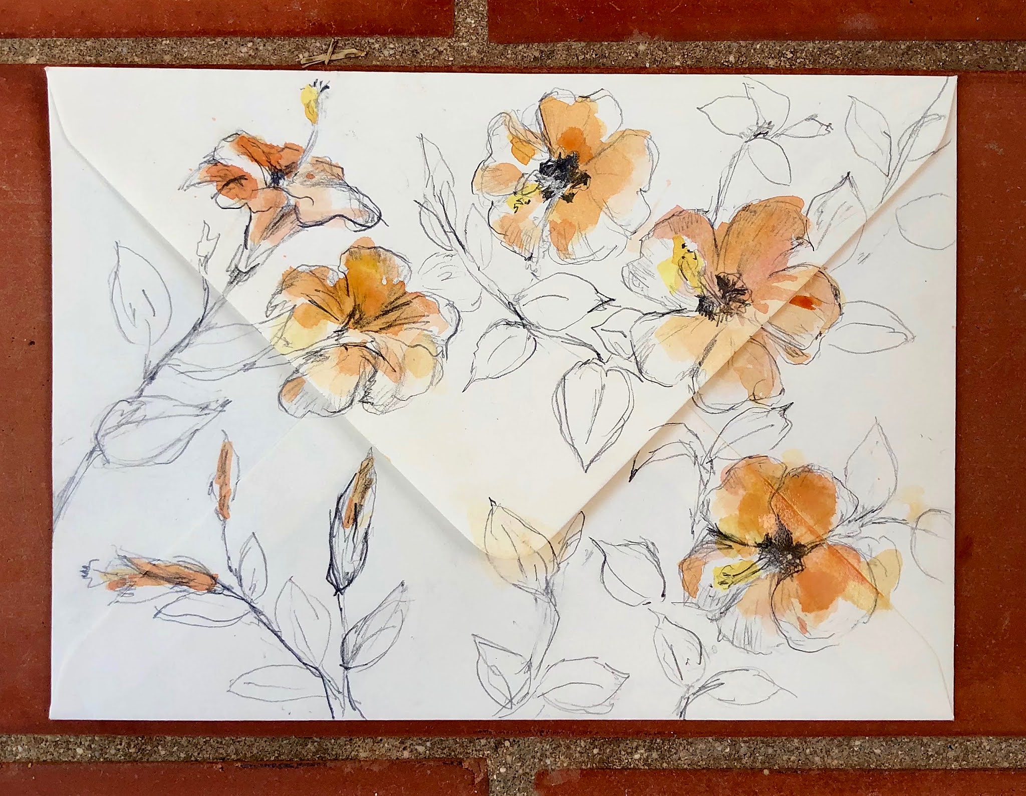 02 HibiskusCouvert 5464