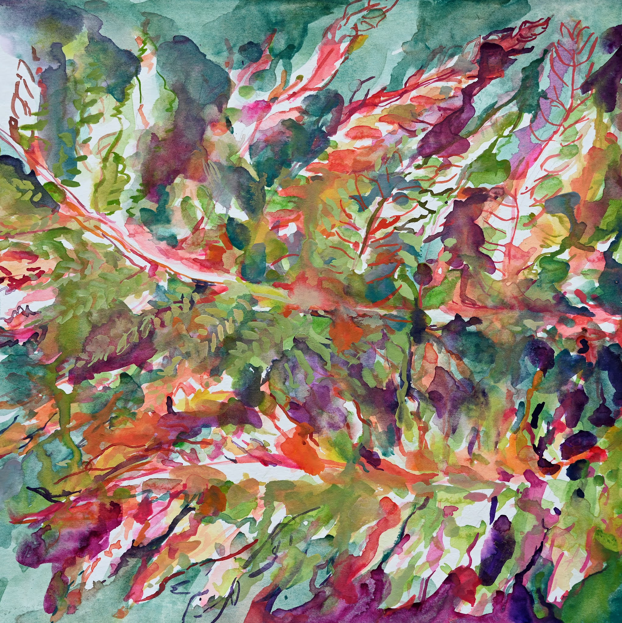 03 Erlebnis FloralesFarbenspielDSC 8831