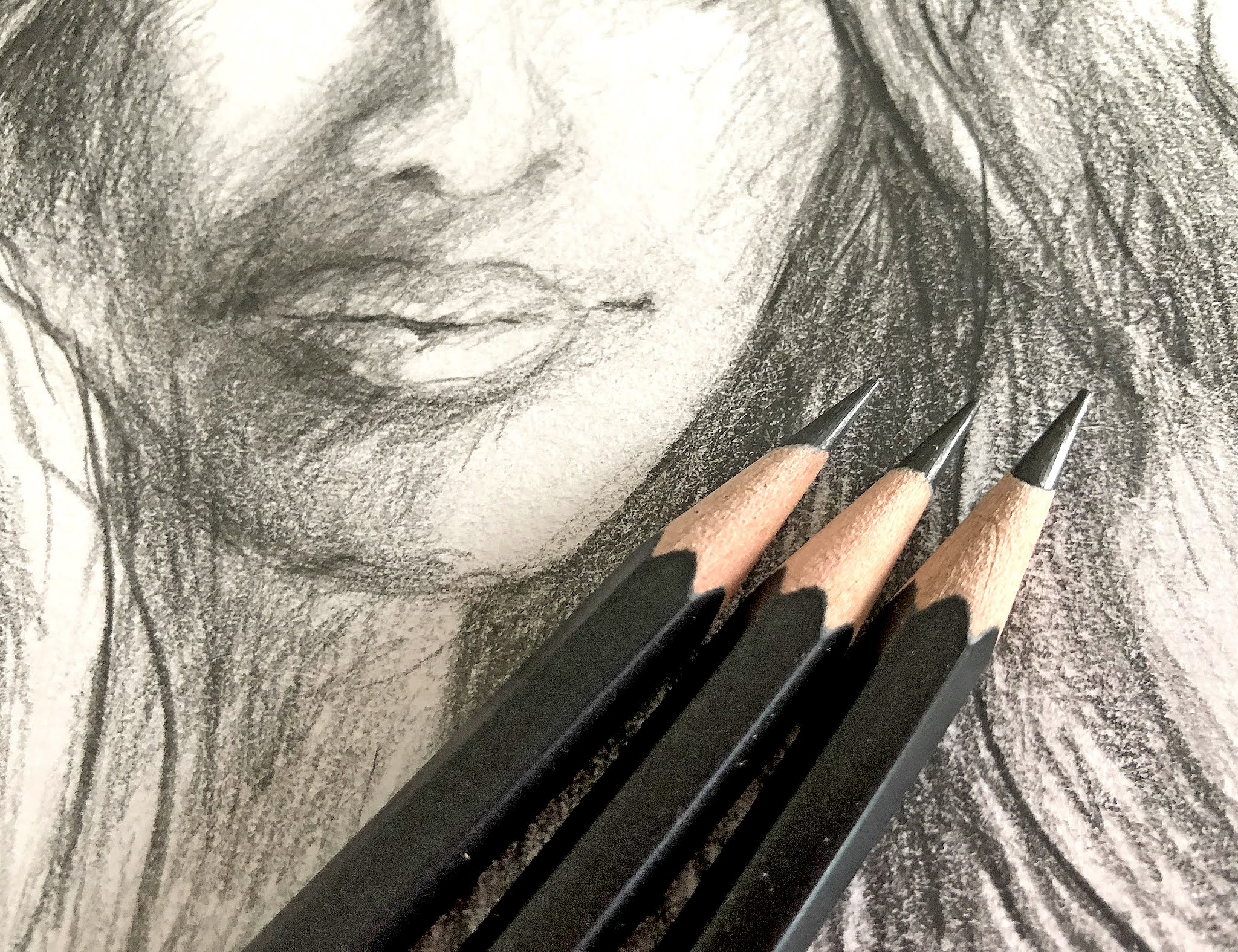 Porträt zeichnen leicht gemacht