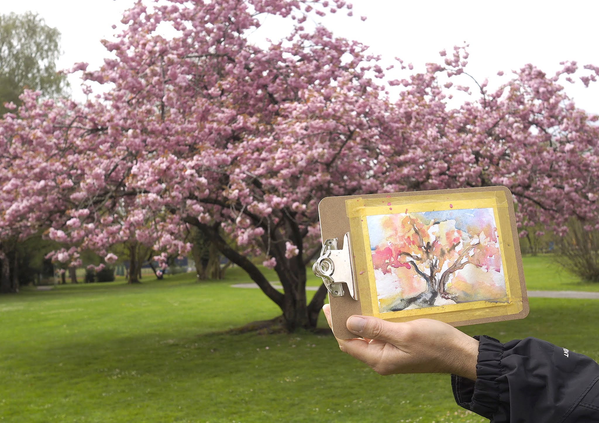 Rosarotes Blütenmeer